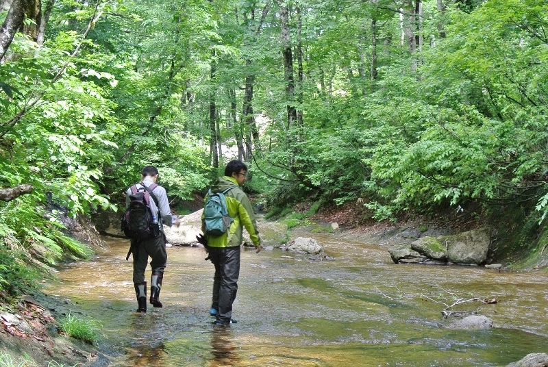 奥会津　只見町　キャンペーン　割引　企画　宿泊　助成　ブナ林　散策　スキー　スノーボード　スノーシュー　トレッキング　スノーモービル　癒し